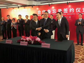 特斯拉上海超级工厂落地，年产50万辆开启中国新能源汽车新篇章