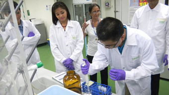 技术交流共促发展 国际水稻所深化合作助力全球粮食安全